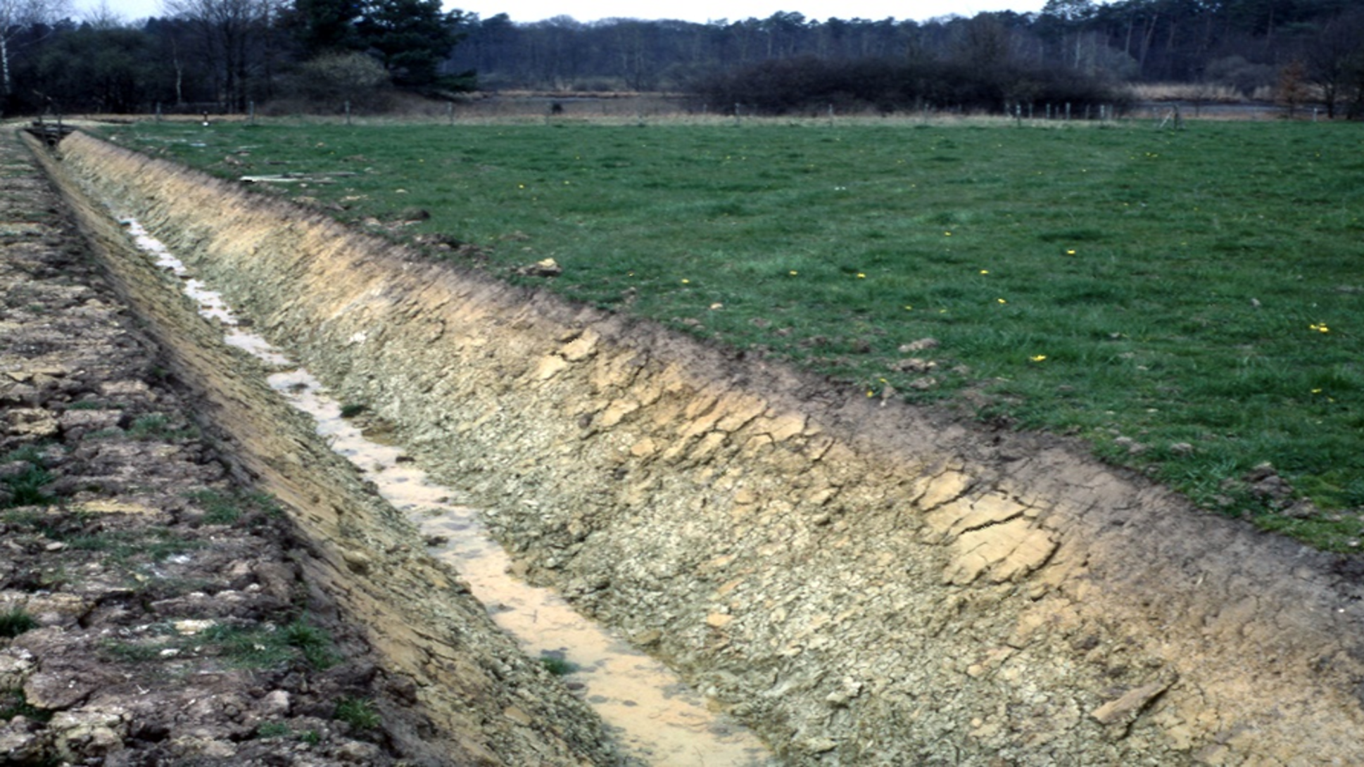image-L’importance des horizons profonds des sols